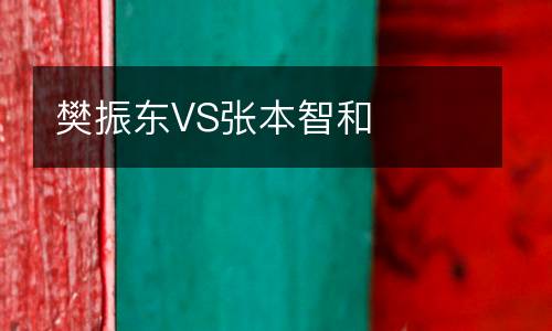 樊振东VS张本智和
