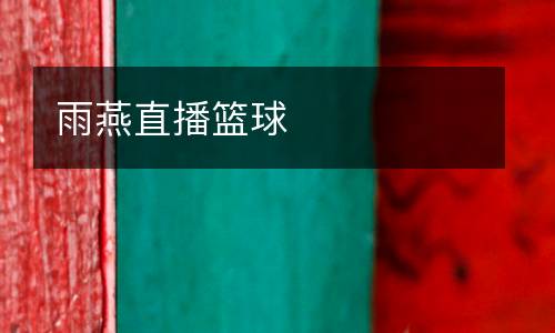 雨燕直播篮球